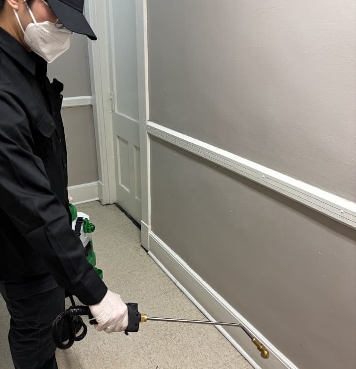 Pest control in New Westminster, ProPestClean Pest Control