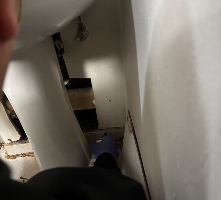 Silverfish Control Metro Vancouver