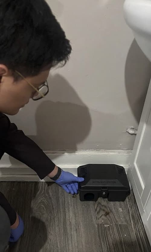 Pest control bait station installation