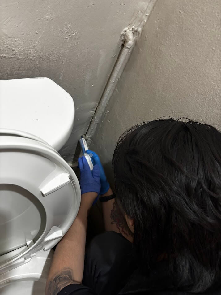 Cockroach pest control service