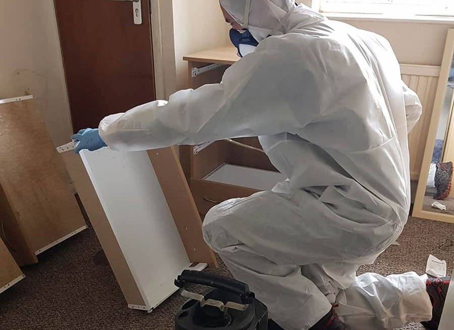 Professional pest control technician on site