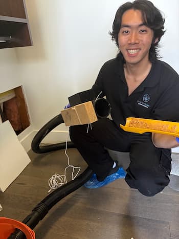 Rodent cleanup and pest control service