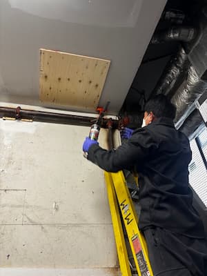 Rodent exclusion and proofing on site